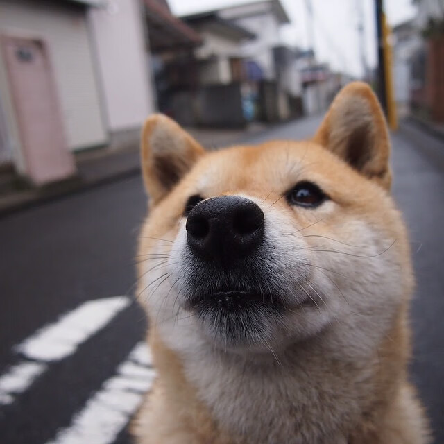 乌拉圭队中场罗德里格斯在巴黎奥运会上展现出强大的组织能力,乌拉圭罗德里格斯世界波